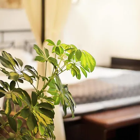 Hanul Fullton Hotell 3*